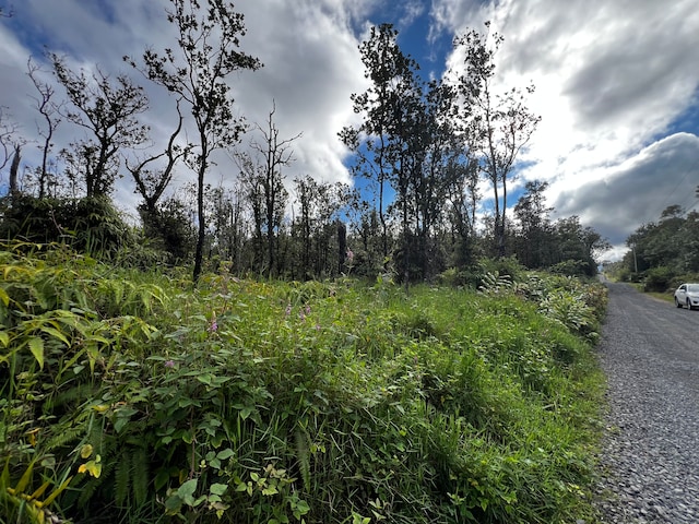 Listing photo 2 for Kokokahi Rd, Volcano HI 96785