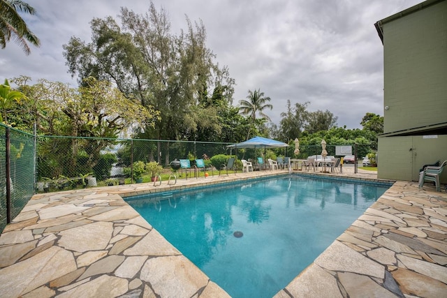 view of pool featuring a patio