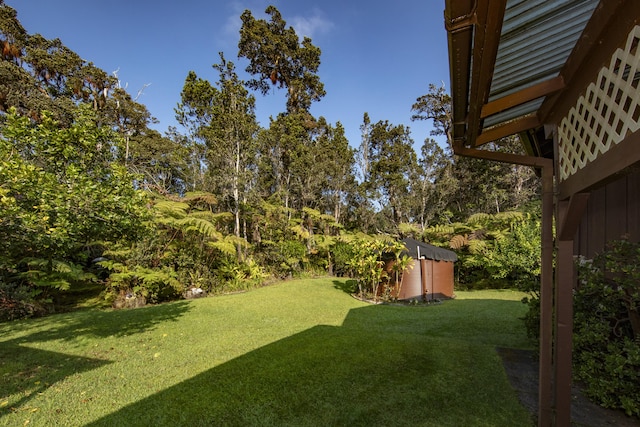 view of yard featuring a storage shed