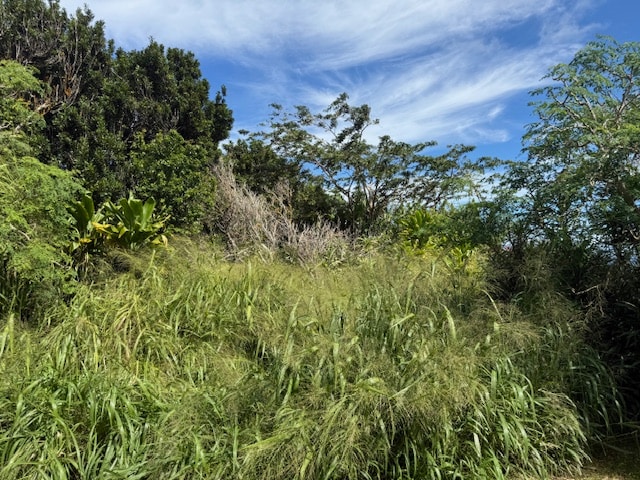 view of nature