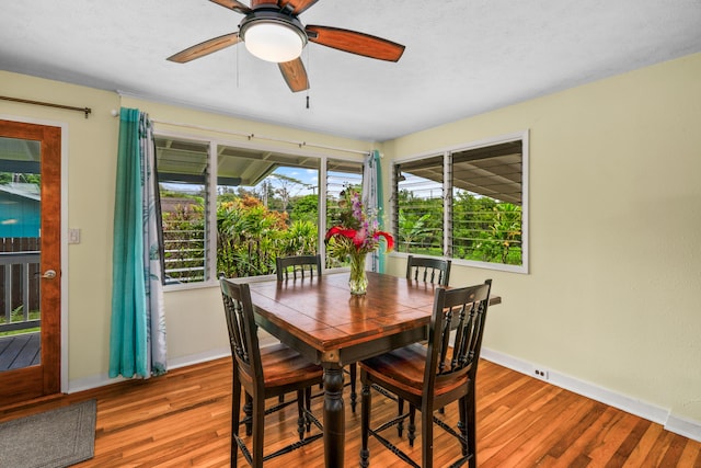 dining room featuring ceiling fan and wood-type flooring