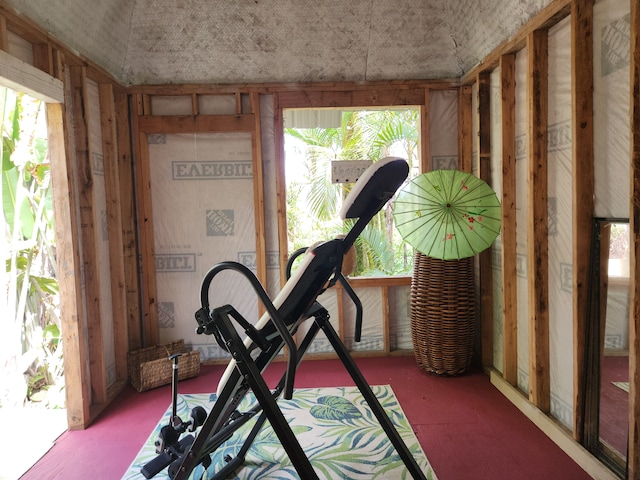 exercise area featuring a wealth of natural light