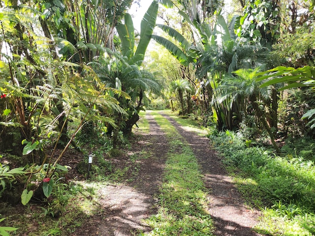 view of landscape featuring a rural view