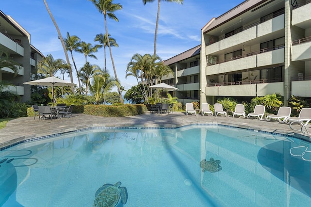 view of swimming pool with a patio area