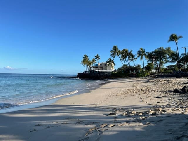 water view featuring a beach view