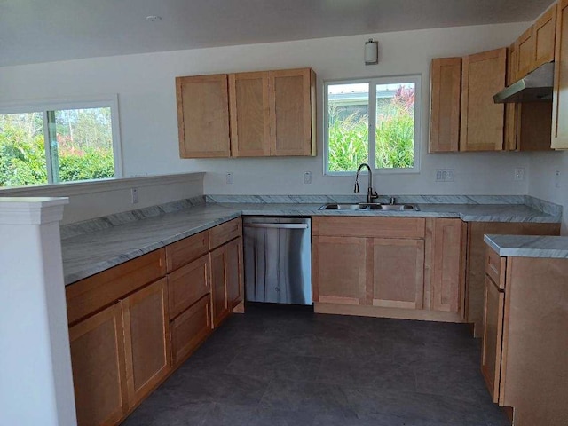 kitchen featuring stainless steel dishwasher, sink, and a wealth of natural light