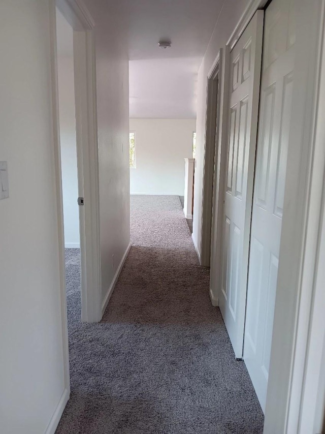 corridor with carpet flooring