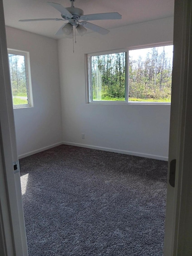 spare room with carpet flooring and ceiling fan