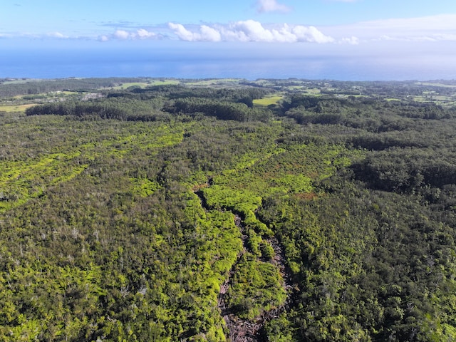 29-820 Chin Chuck Rd Unit Lot6, Hakalau HI, 96710 land for sale