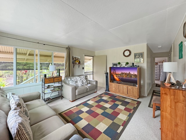 carpeted living room with a textured ceiling