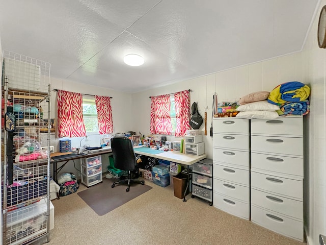 carpeted office space with a textured ceiling and wooden walls