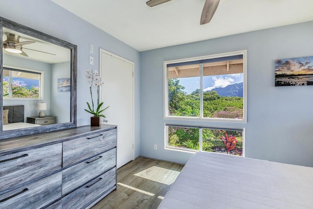 bedroom featuring multiple windows, ceiling fan, and wood-type flooring