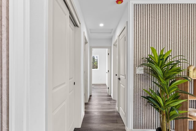 hall with dark wood-type flooring