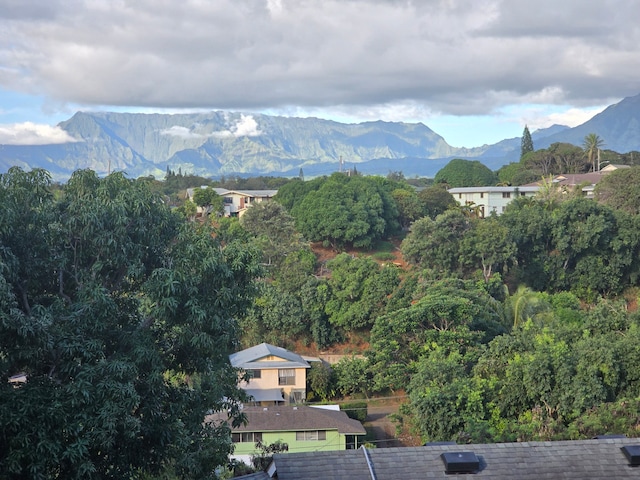 view of mountain feature