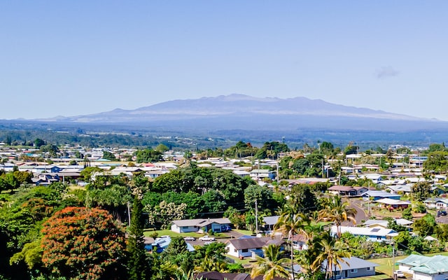 birds eye view of property with a mountain view