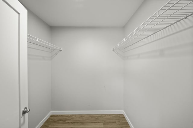 walk in closet featuring hardwood / wood-style flooring