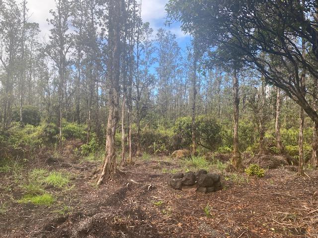 Hopue Rd, Mountain View HI, 96760 land for sale