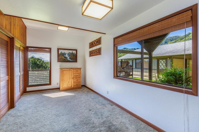 unfurnished bedroom with light carpet