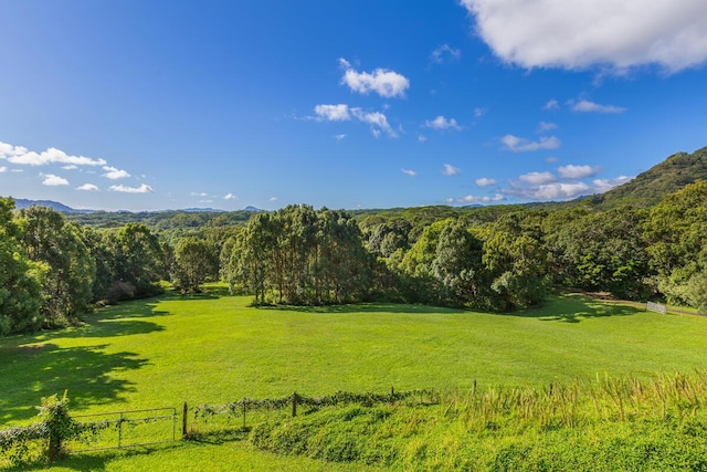 property view of mountains with a rural view