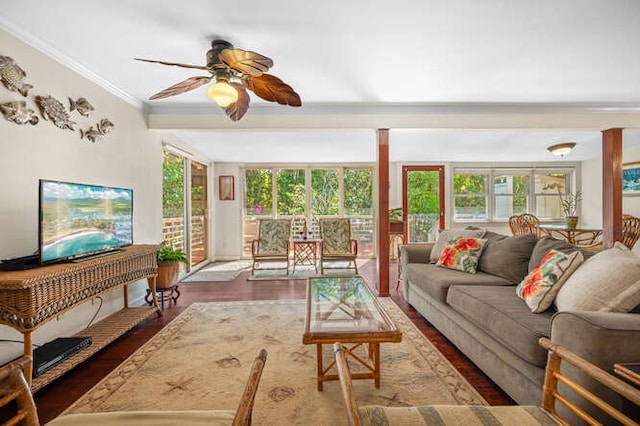 living room with dark hardwood / wood-style flooring, a wealth of natural light, ornamental molding, and ceiling fan