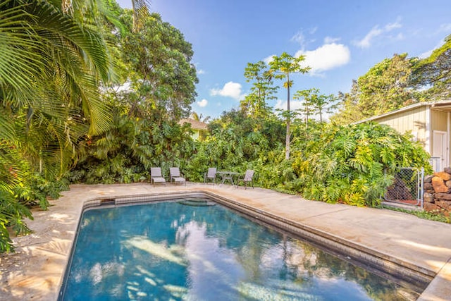 view of pool with a patio