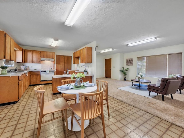 kitchen featuring light carpet, a textured ceiling, sink, and stainless steel range oven