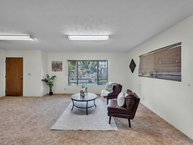 living room featuring light carpet and a textured ceiling