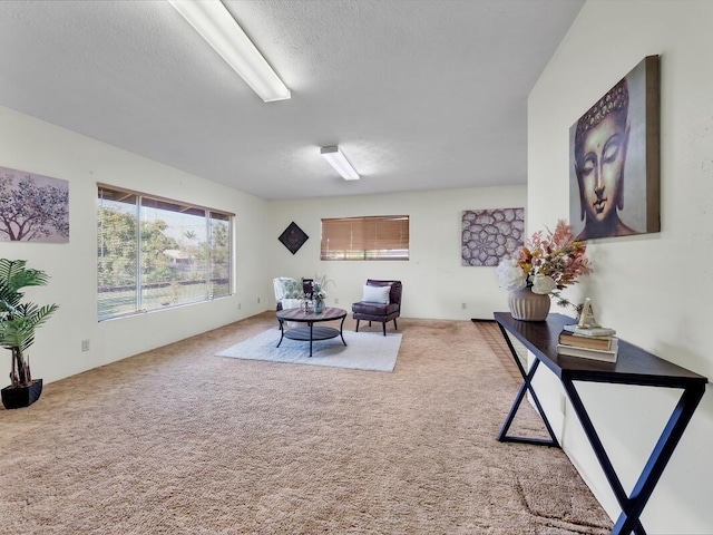 living area with carpet flooring, a textured ceiling, and a wealth of natural light