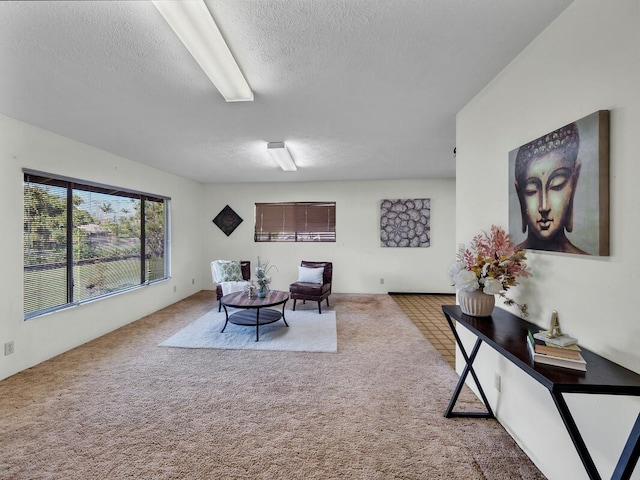 living area featuring carpet floors and a textured ceiling