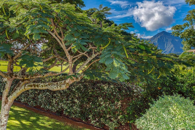 view of yard with a mountain view