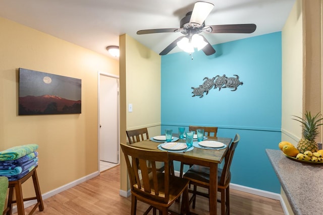 dining space with ceiling fan and light hardwood / wood-style flooring