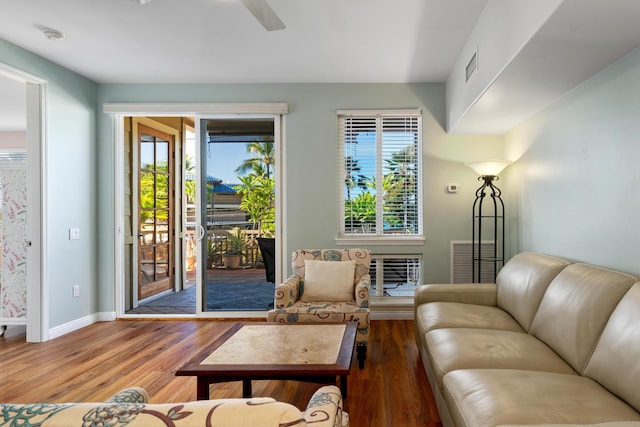 living room featuring hardwood / wood-style floors and a wealth of natural light