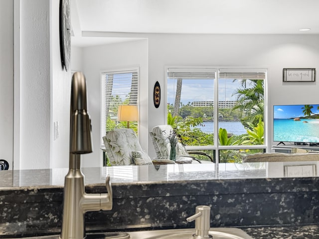 interior details featuring stone countertops