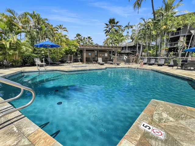 view of pool with a patio