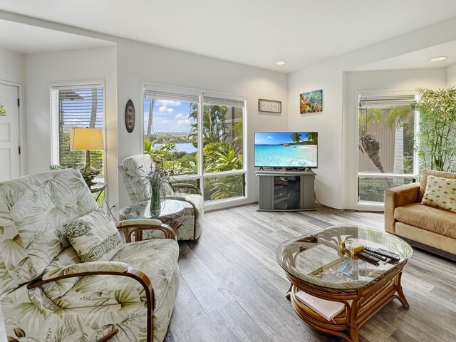 living room featuring light hardwood / wood-style floors