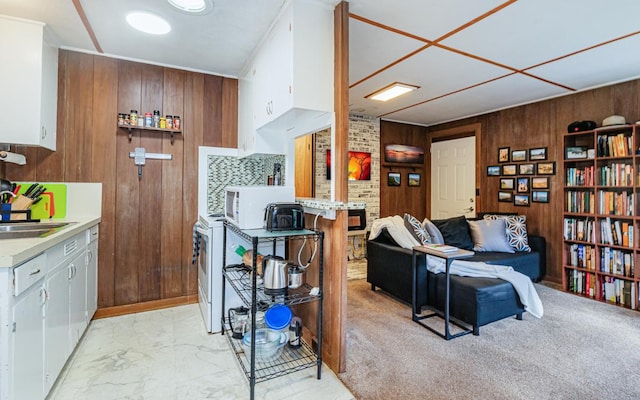 carpeted living room with wooden walls, sink, and washer / dryer