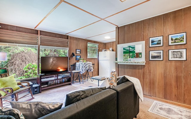 living room with wood walls and light carpet