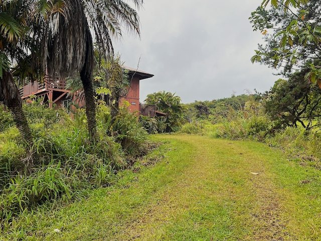 view of yard