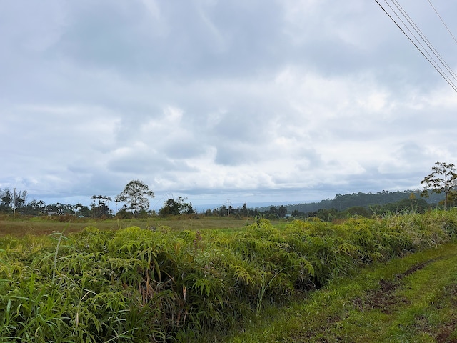 view of local wilderness with a rural view