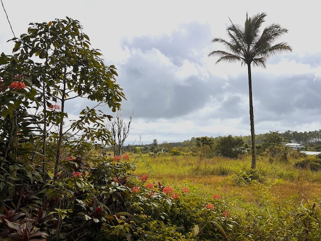 view of landscape