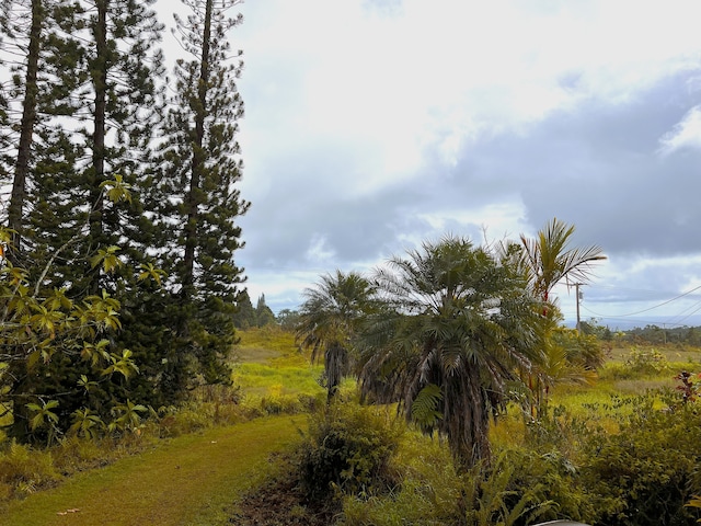 view of landscape