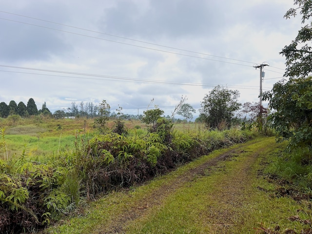 view of yard featuring a rural view