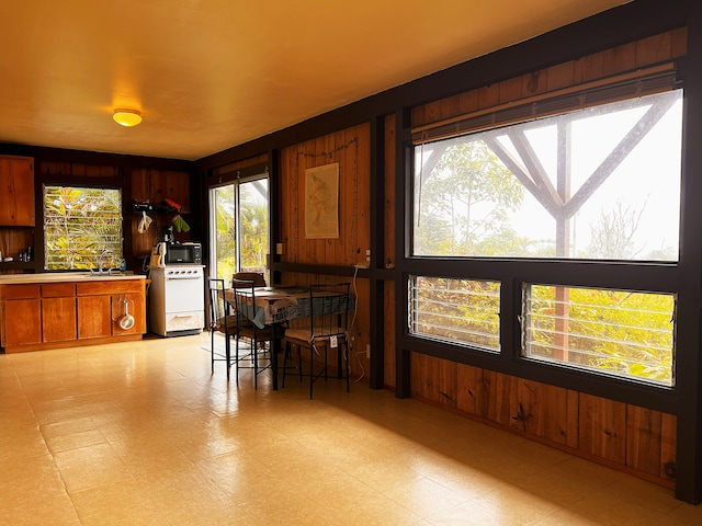 dining room featuring wood walls and sink