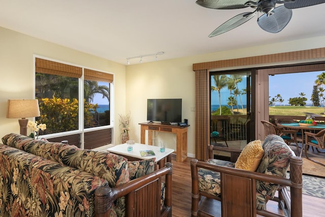 living room featuring ceiling fan, track lighting, and hardwood / wood-style flooring