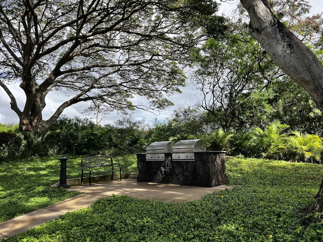 view of home's community featuring exterior kitchen