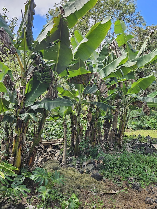 view of landscape