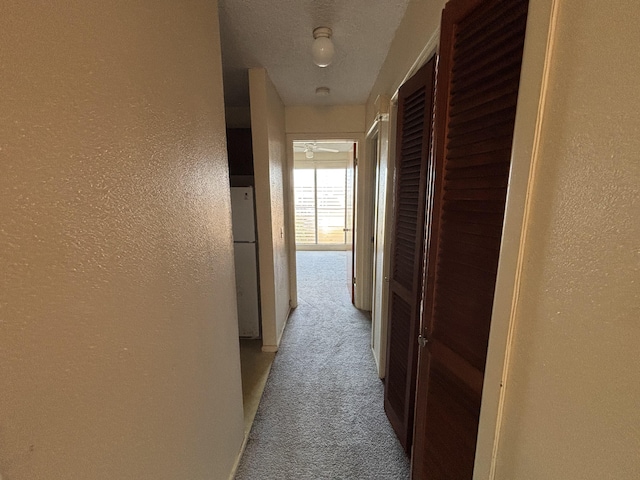 corridor with carpet flooring, a textured wall, and a textured ceiling