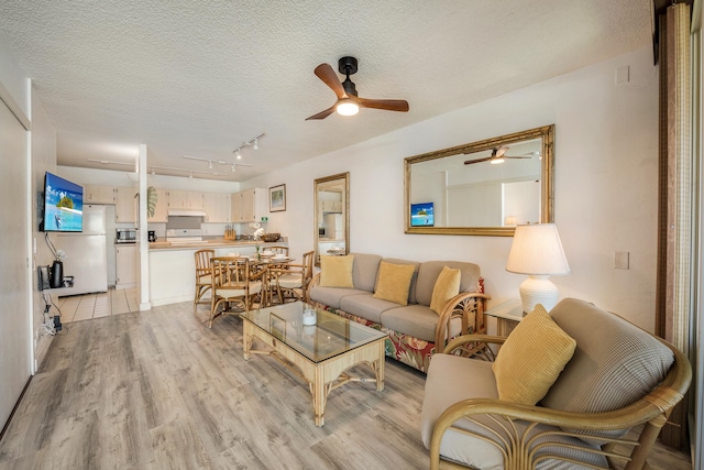 living room with rail lighting, a textured ceiling, and light hardwood / wood-style flooring