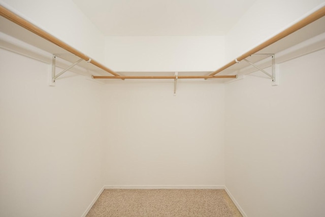 walk in closet with light carpet