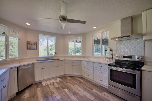 kitchen with wall chimney range hood, stainless steel appliances, and a wealth of natural light